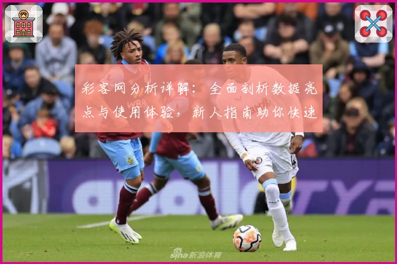 彩客网分析详解：全面剖析数据亮点与使用体验，新人指南助你快速上手