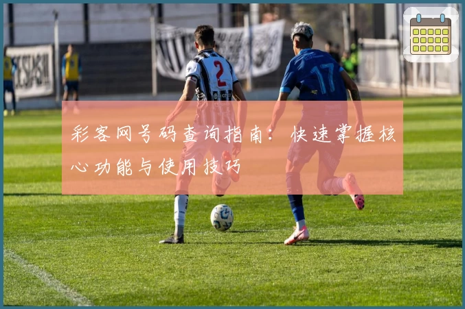 彩客网号码查询指南：快速掌握核心功能与使用技巧