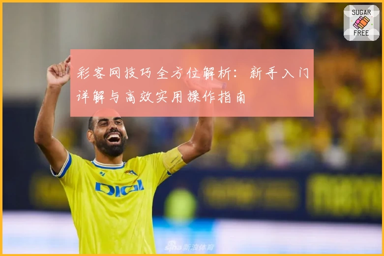 彩客网技巧全方位解析：新手入门详解与高效实用操作指南