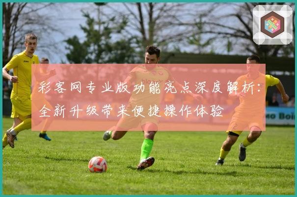 彩客网专业版功能亮点深度解析：全新升级带来便捷操作体验