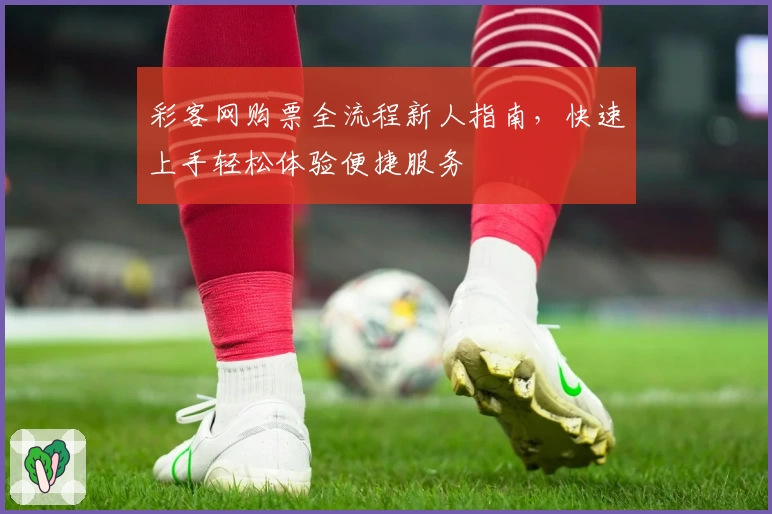 彩客网购票全流程新人指南，快速上手轻松体验便捷服务