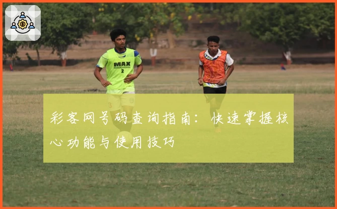 彩客网号码查询指南：快速掌握核心功能与使用技巧