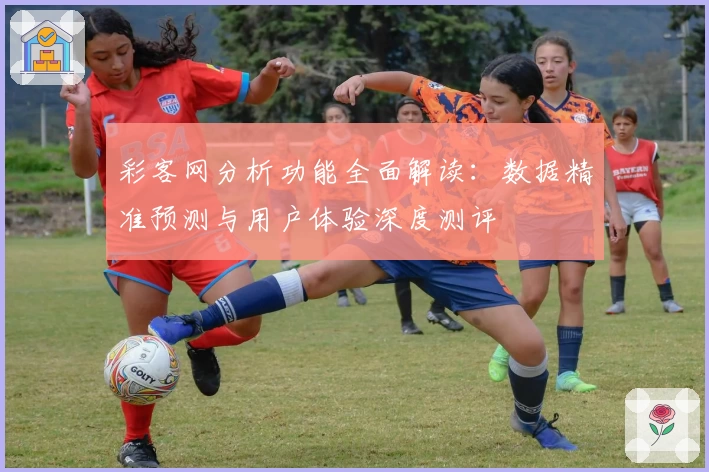 彩客网分析功能全面解读：数据精准预测与用户体验深度测评