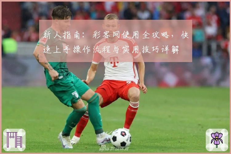 新人指南：彩客网使用全攻略，快速上手操作流程与实用技巧详解